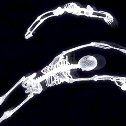 Tyler, the Creator - Where This Flower Blooms (Slowed + Reverb)