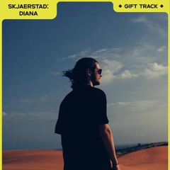 MEOKO GIFT TRACK | Skjaerstad - 'Diana'