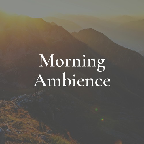 Ambience meaning