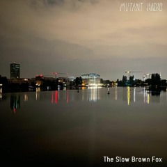 The Slow Brown Fox [07.09.2022]