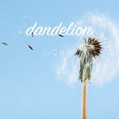 Dandelion (Free download)