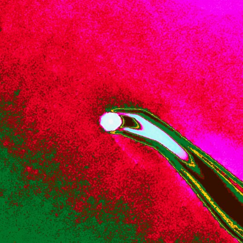 For you / One grain is twice as delicious