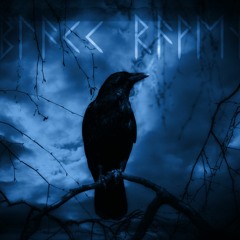 Curse Of The Raven