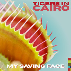 My Saving Face