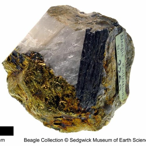 Darwin's Chalcopyrite