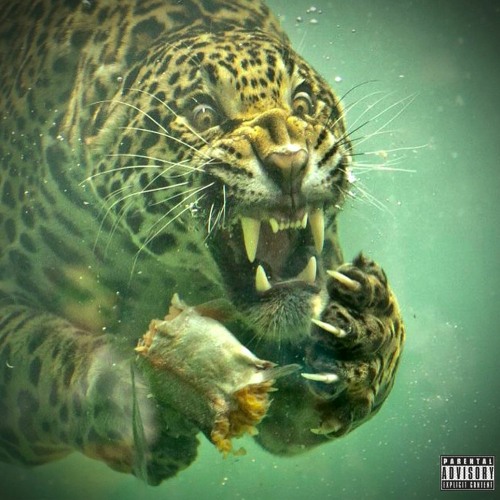 Stream wocky ft. fvego (prod. by Metro daniels) by Lil Cheeto | Listen  online for free on SoundCloud