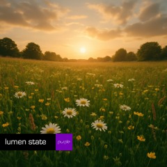 Meadow