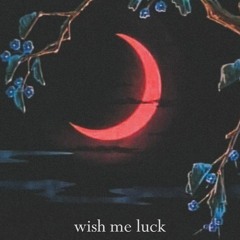 wish me luck (prod. by Vegard Veslelia)