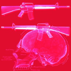 New Wave Anatomy
