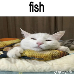 this is a fish (RR)