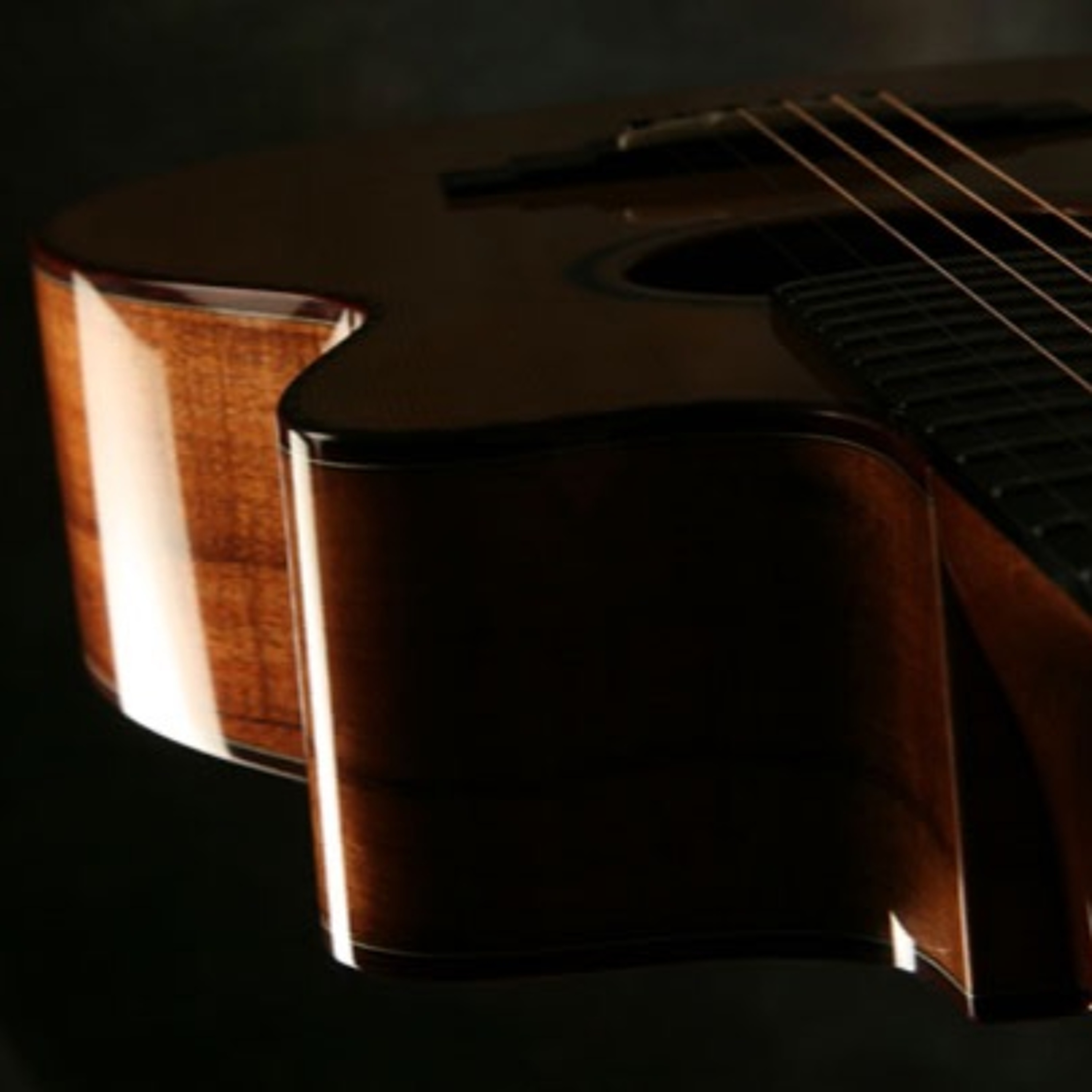 rPeikoff Acoustic Finger Style & Slide Guitar Maestro