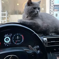 M&