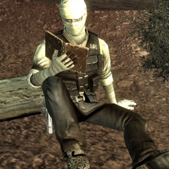 New Vegas