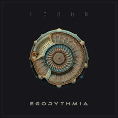 Codon