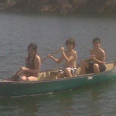 Buckskin Stallion Blues (cover)