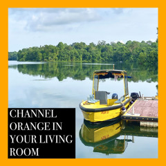 Channel Orange In Your Living Room (Cover)