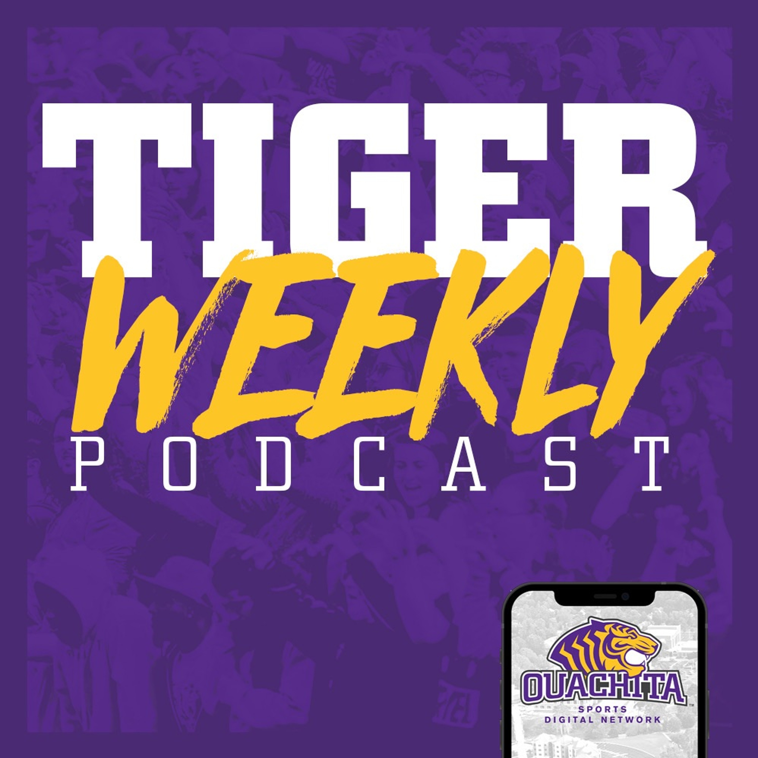 Talking with Tigers
