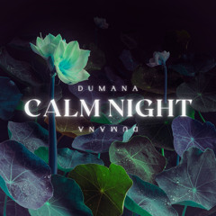 Calm Night