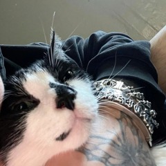 STRANGEHUMAN - ESTRELLA FUGAZ || & Feat. B Sanz (PREVIEW) @Gabbo!!?