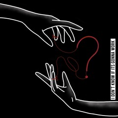 I Don't Know If It's Gonna Work (feat. Farpotshket)