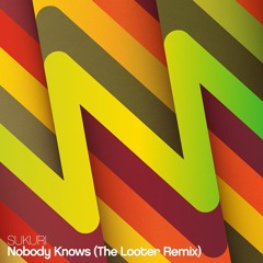 Nobody Knows (The Looter Remix)