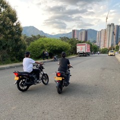 para las ratas 2.0 (HBD Lupas)