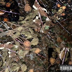 Not From The Ghetto ft LilGzuez (Prod Lil Fari)