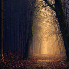 When Will Darkness Pass