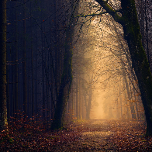 When Will Darkness Pass