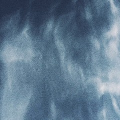 거위