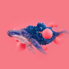 NOQU LEWA - Sean Rii