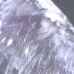 ♡❀˖⁺.༶ ⋆˙⊹❀♡🩷♡❀˖⁺.༶ ⋆˙⊹❀♡