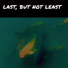 stream of loneliness