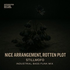 Nice Arrangement, Rotten Plot (Industrial Bass Funk Mix)