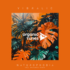 Premiere: Vibralic - Naturophobia (Musumeci Remix) [Organic Tunes]