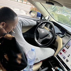 Chickens Remix (2023Freestyles)