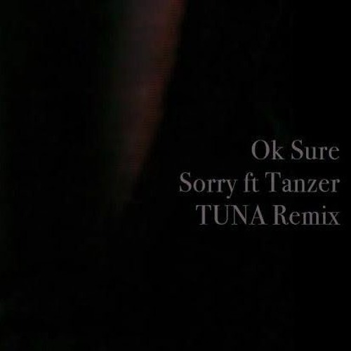 Ok Sure - Sorry Feat. Tanzer (To Use No Art Remix)
