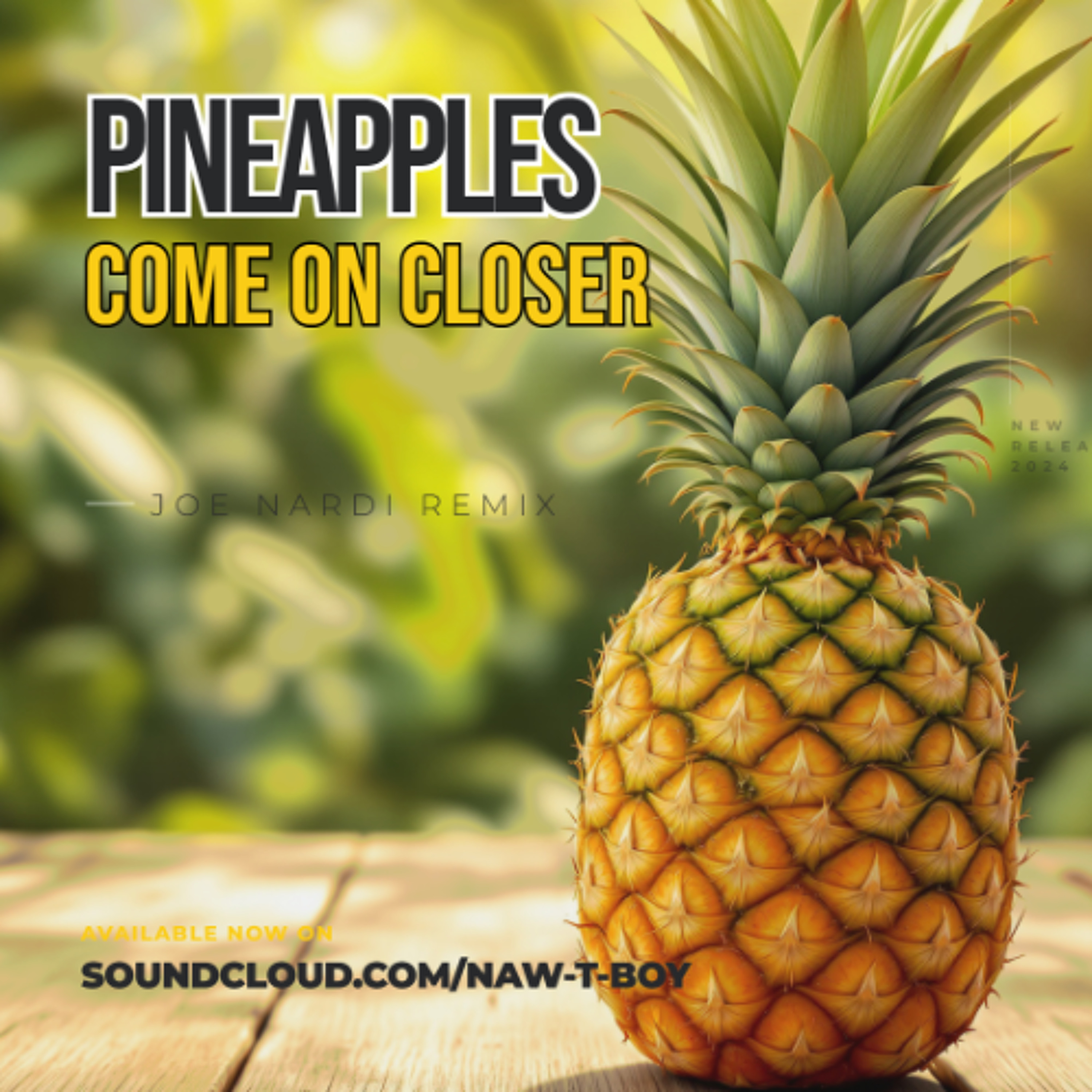 Pineapples - Come On Closer - Joe Nardi NuDisco Remix