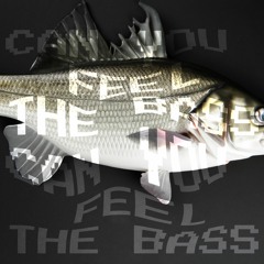 CAN YOU FEEL THE BASS (TECHNO)