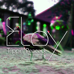 Trippin' Peacock | 147 - 148bpm Night-FullOn Set | Subtopia-Festival23