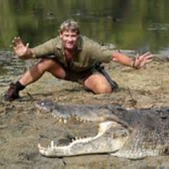 STEVE IRWIN
