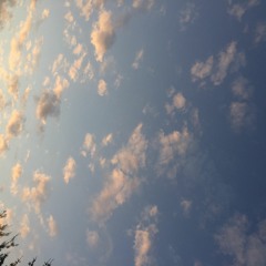 Donnerstagabend