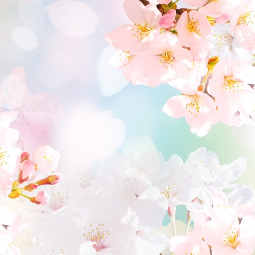 Stream 5 ひとひらの花びら 寺島悦恩作詞 小林範子作曲 By Noriko Kobayashi Listen Online For Free On Soundcloud Stream 5 ひとひらの花びら 寺島悦恩作詞 小林範子作曲 By Noriko Kobayashi Listen Online For Free On Soundcloud