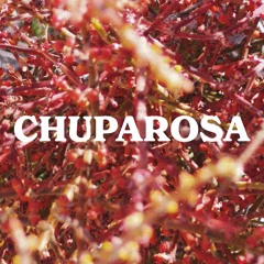 Daily Thompson - Chuparosa (Radio Edit)