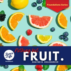 Nothing But Fruit - Foundation Series - Shayne Holesgrove (Rondebosch)