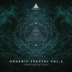 Area303 - Organic Fractal Vol.2 - 04 Anything's Possible