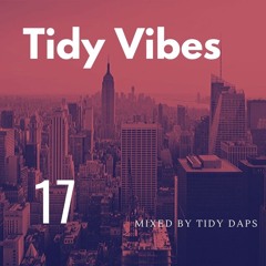 Tidy Vibes vol.17