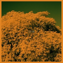 1718 [full beat tape]