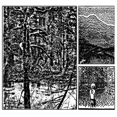 how have you been? demo