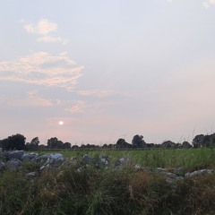 Summer Haze 'Around